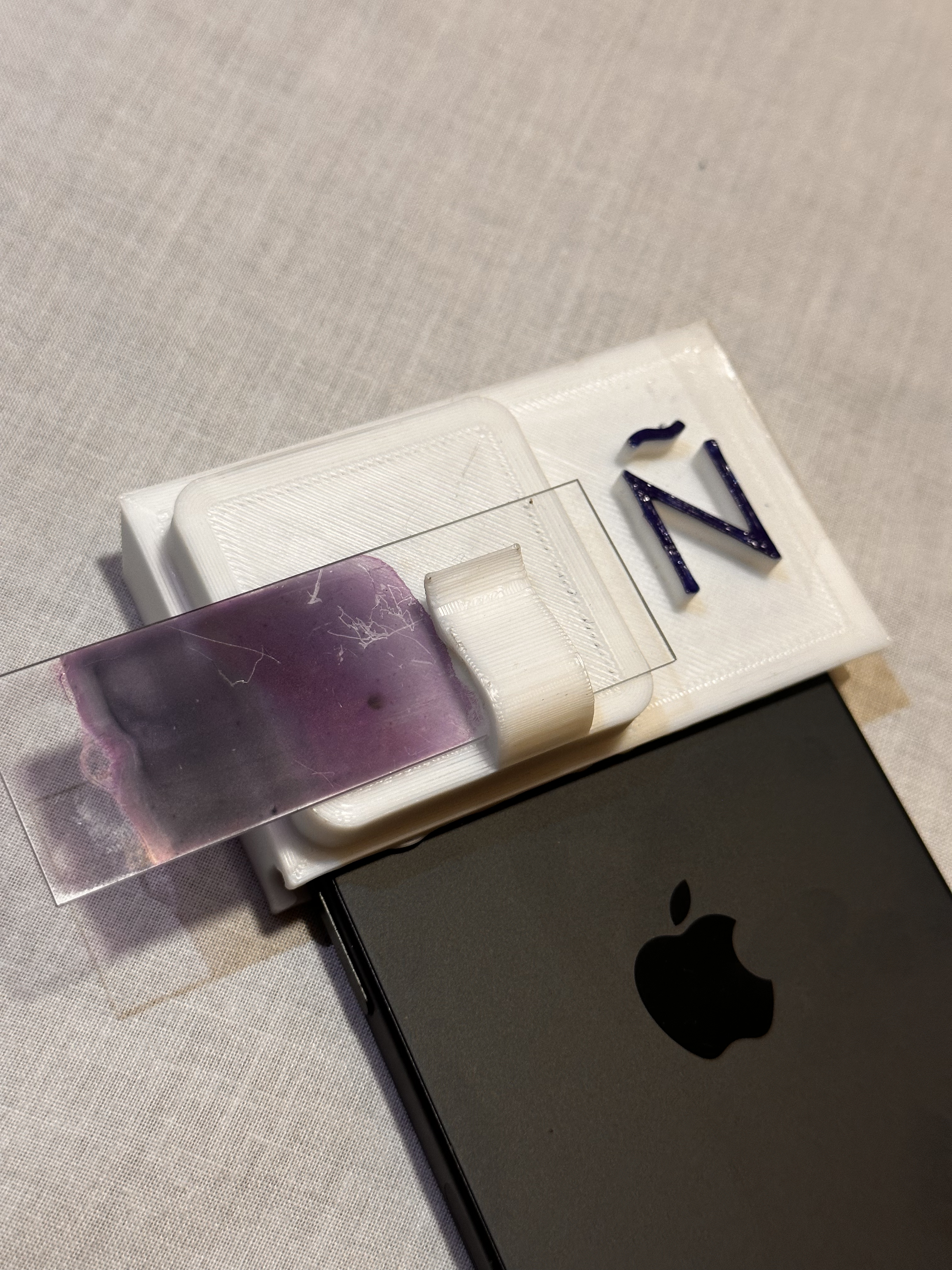 Health worker using HemAI